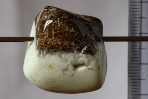 Anhänger gebohrt Baumachat Unikat