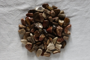 Trommelsteine versteinertes Holz