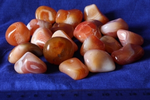 Trommelsteine Karneol