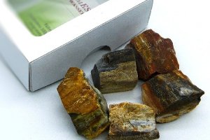 Wassersteine versteinertes Holz